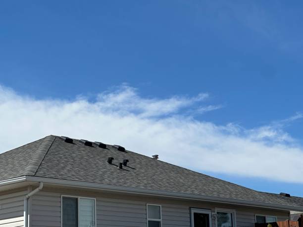 Best Skylight Installation and Repair  in Exton, PA